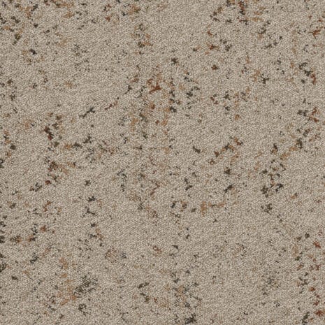 5T647_47668_19x19_1 5T647_47668_19x19_1