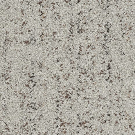 5T647_47760_19x19_1 5T647_47760_19x19_1