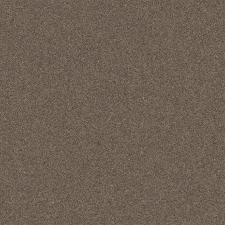 8L58_Frisea_RGB 8L58_Frisea_RGB