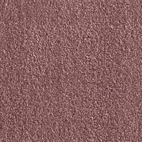 Amelie_1Q24 Amelie_1Q24