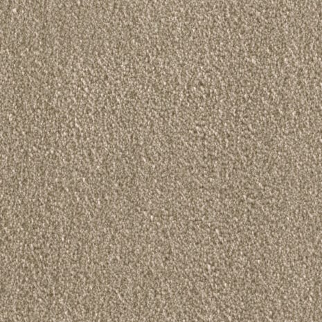 Amelie_8L41 Amelie_8L41