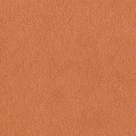 Barista_1Q09 Barista_1Q09