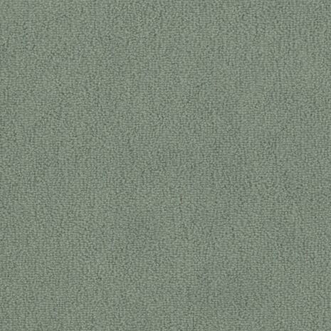 Barista_4H83 Barista_4H83