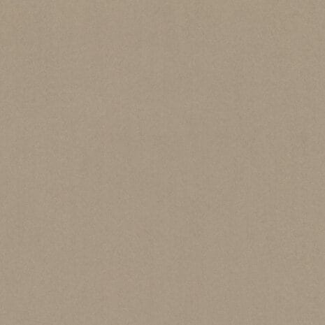 Barista_8K22 Barista_8K22