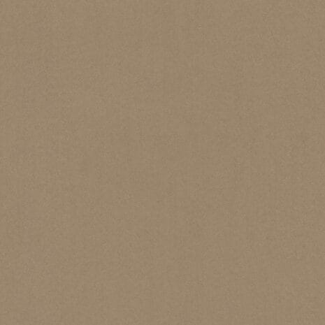 Barista_8K23 Barista_8K23