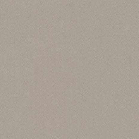 Barista_8K31 Barista_8K31