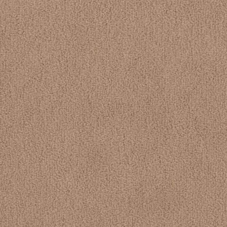 Barista_8L39 Barista_8L39