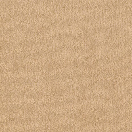 Barista_8L40 Barista_8L40