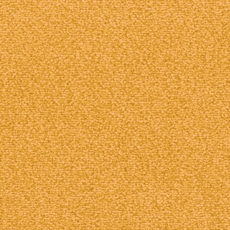 Lyrica_2F95 Lyrica_2F95