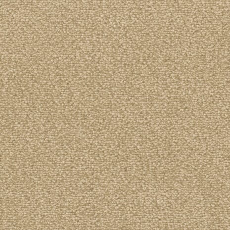 Lyrica_8L31 Lyrica_8L31