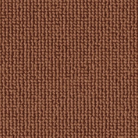 Rustica 1Q01 Rustica 1Q01