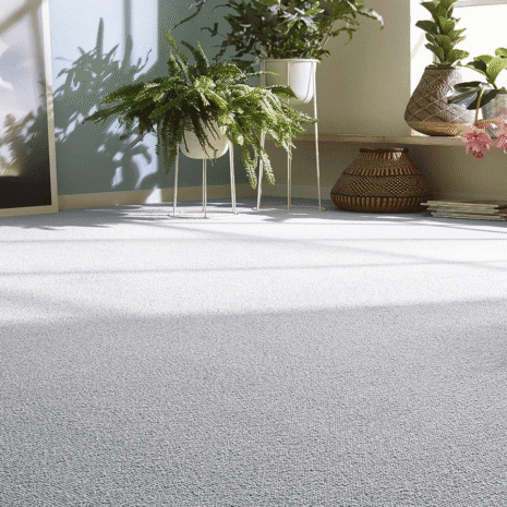 Rustica 5V77 1 Rustica 5V77 1