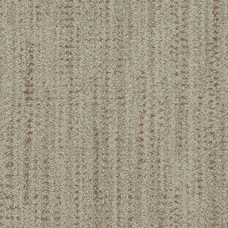 5T681_81111_Repeat 5T681_81111_Repeat