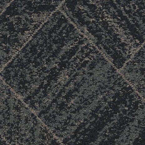 5T683_81496_19x19_1 5T683_81496_19x19_1