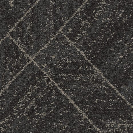 5T683_81505_19x19_1 5T683_81505_19x19_1